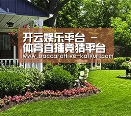 开云娱乐平台 - 体育直播竞猜平台