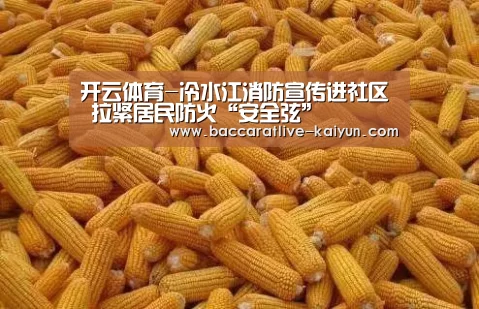 开云篮球