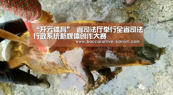 “开云体育”
省司法厅举行全省司法行政系统新媒体创作大赛(图6) 开云赛事