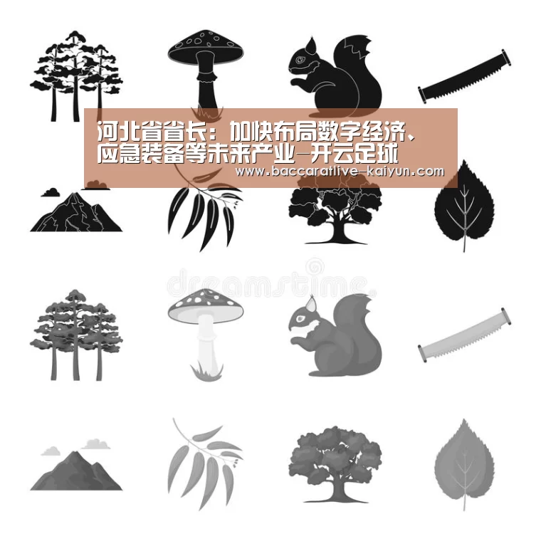 河北省省长:加快布局数字经济、应急装备等未来产业-开云足球(图2) 开云足球