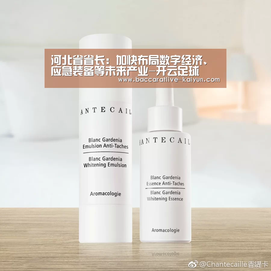 河北省省长:加快布局数字经济、应急装备等未来产业-开云足球(图1) 开云体育