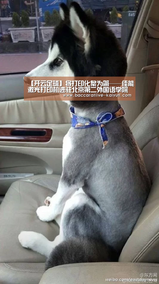【开云足球】将打印化繁为简——佳能激光打印机进驻北京第二外国语学院图书馆(图2) 开云足球