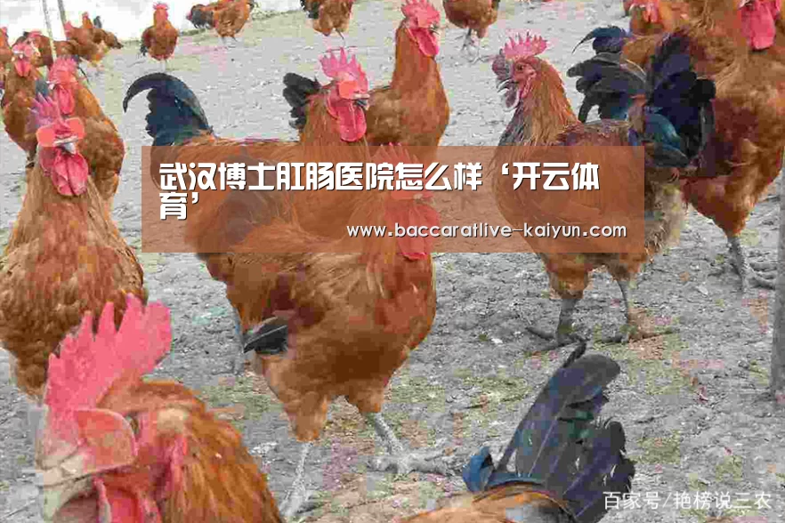 武汉博士肛肠医院怎么样‘开云体育’(图2) 开云体育